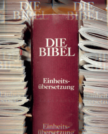 Bibellese – Gruppe